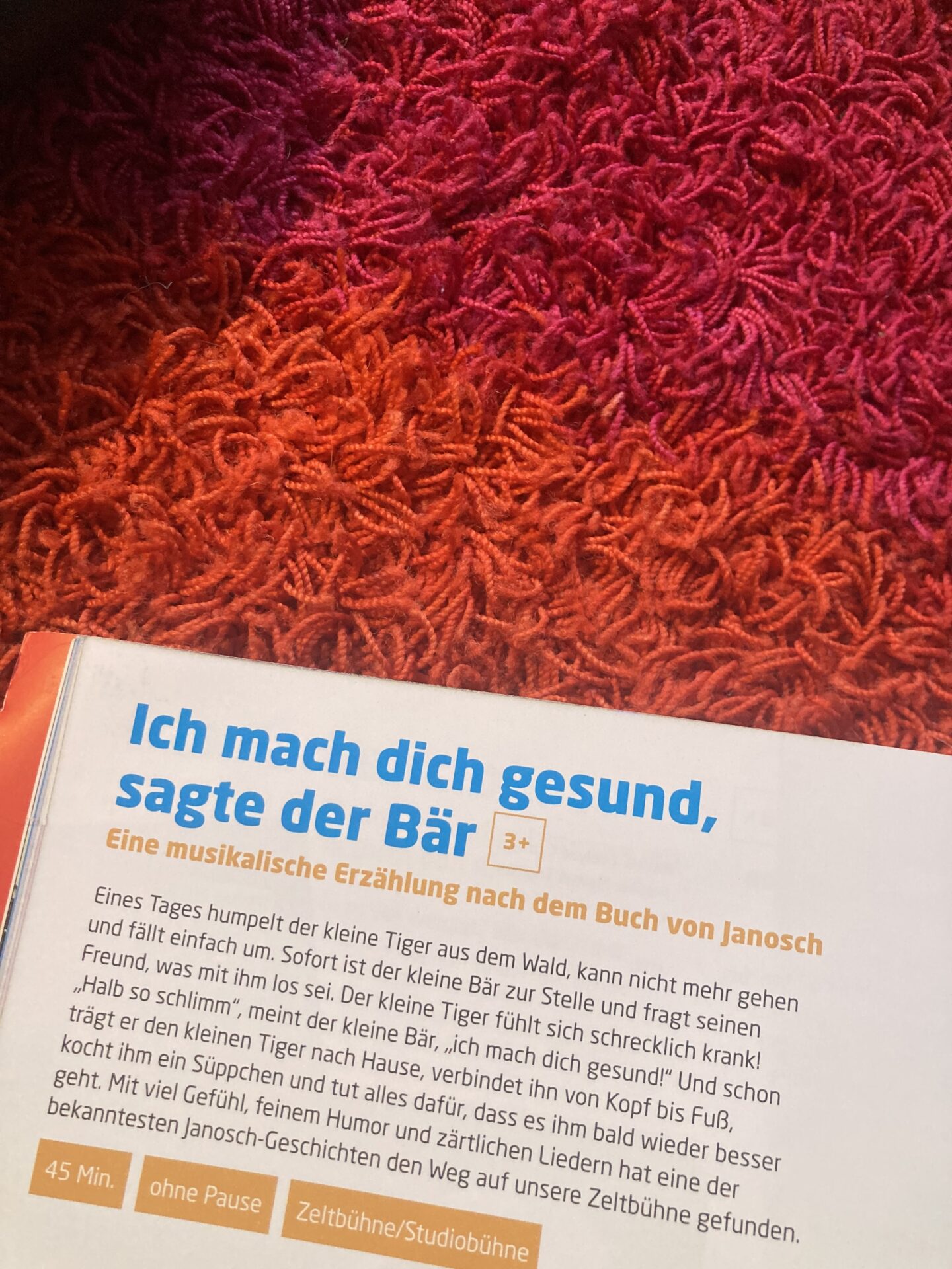 Ein Flyer der Veranstaltung